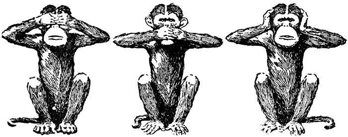 monkeys-22027-lg1.gif